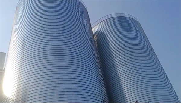 南岔2座混凝土高架卷板仓